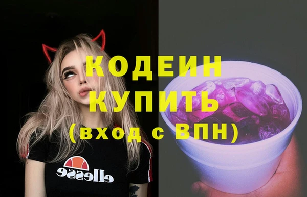 apvp Каменка