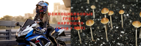 гашиш Касимов