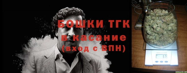 apvp Каменка