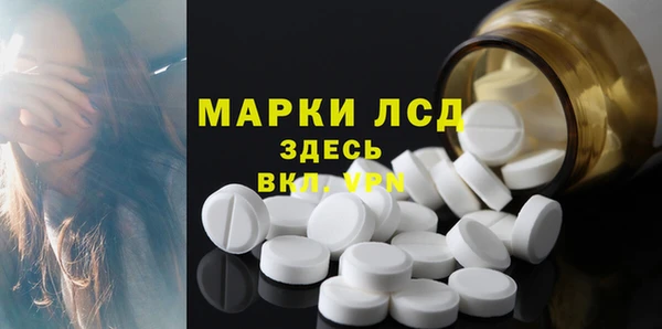 apvp Каменка
