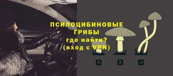 mdpv Каменск-Шахтинский