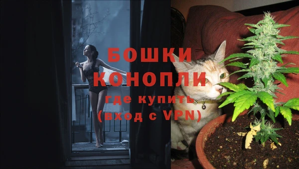 apvp Каменка