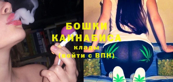 mdpv Каменск-Шахтинский