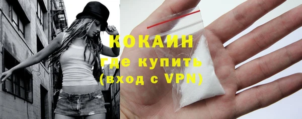 apvp Каменка
