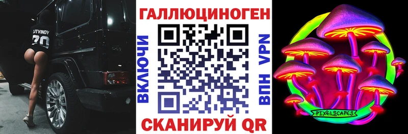 Купить закладки  Олонец  Псилоцибиновые грибы Psilocybe 